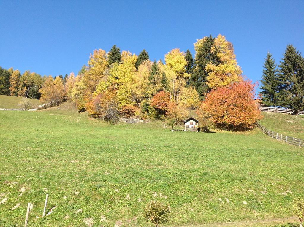 Berggasthaus Agritur Moserhof Брайес Екстериор снимка